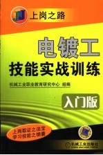 电镀工技能实战训练 入门版