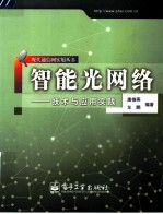 智能光网络 技术与应用实践