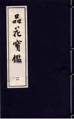 品花宝鉴 10
