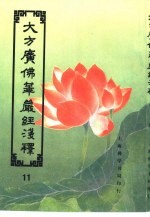 大方广佛华严经浅释 11
