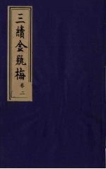 三续金瓶梅 2