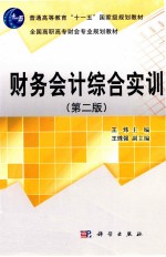 财务会计综合实训 第2版