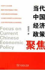 当代中国经济政策聚焦