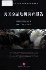 金融危机调查报告