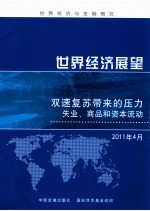 世界经济展望 双速复苏带来的压力 2011年4月
