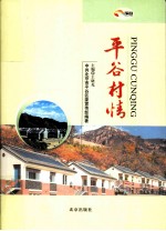 平谷村情