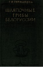 ШЛЯПОЧНЫЕ ГРИБЫ БЕЛОРУССИИ
