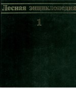 ЛЕСНАЯ ЭНЦИКЛОПЕДИЯ ТОМ ПЕРВЫЙ