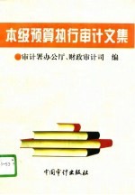 本级预算执行审计文集