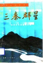 三秦群星 陕西省改革致富新村谱