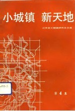 江苏省小城镇研究论文选 第4集 小城镇 新天地