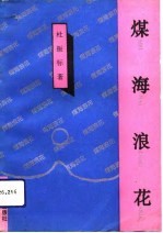 煤海浪花