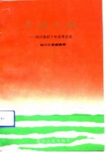 希望之路 四川农村十年改革纪实