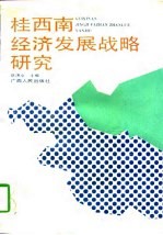 桂西南经济发展战略研究