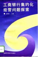 工商银行集约化经营问题探索