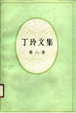 丁玲文集 第8卷