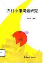 农村小康问题研究
