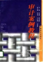 审计案例教程