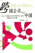跨国公司与中国 北京'94跨国公司与世界经济一体化国际研讨会文集