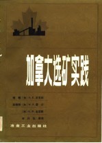 加拿大选核算实践