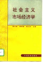 社会主义市场经济学