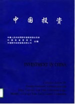 中国投资