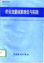 资金流量核算理论与实践