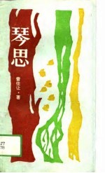 琴思 诗集