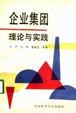 企业集团:理论与实践