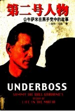 第二号人物 公牛萨米在黑手党中的故事