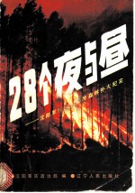 28个夜与昼 沈阳军区大兴安岭扑火纪实
