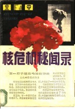 核危机秘闻录