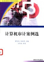计算机审计案例选