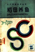 稻田养鱼