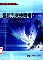 智能光交换网络