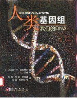 人类基因组 我们的DNA