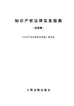 知识产权法律实务指南 总类卷