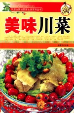 风靡全国的居家生活百科全书 美味川菜