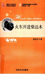 火车开进柴达木