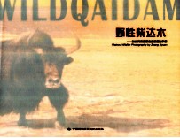 野性柴达木 张纪元高原野生动物摄影作品