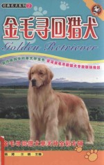 金毛寻回猎犬