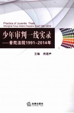 少年审判一线实录 普陀法院 1991-2014年