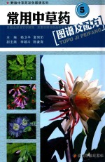 常用中草药图谱及配方 5