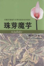 珠芽魔芋