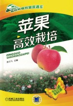 苹果高效栽培
