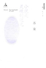 小说是灵魂的逆光