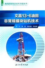 文昌13-6油田非常规模块钻机技术