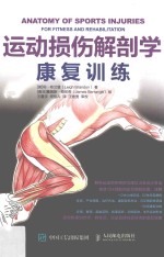 运动损伤解剖学 康复训练