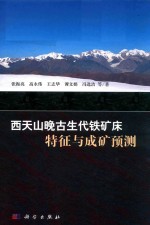 西天山晚古生代铁矿床 特征与成矿预测