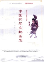 中医药传承图萃丛书 中国药学文物图集